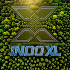 QR code: INDOXL LINK ALTERNATIF