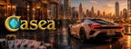 VIP Program and Player Support