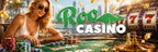Roo Casino Guide: What Players Need to Know