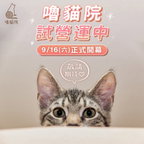 門市：竹北市勝利十二街121號