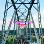 QR code: Leisha 168.com