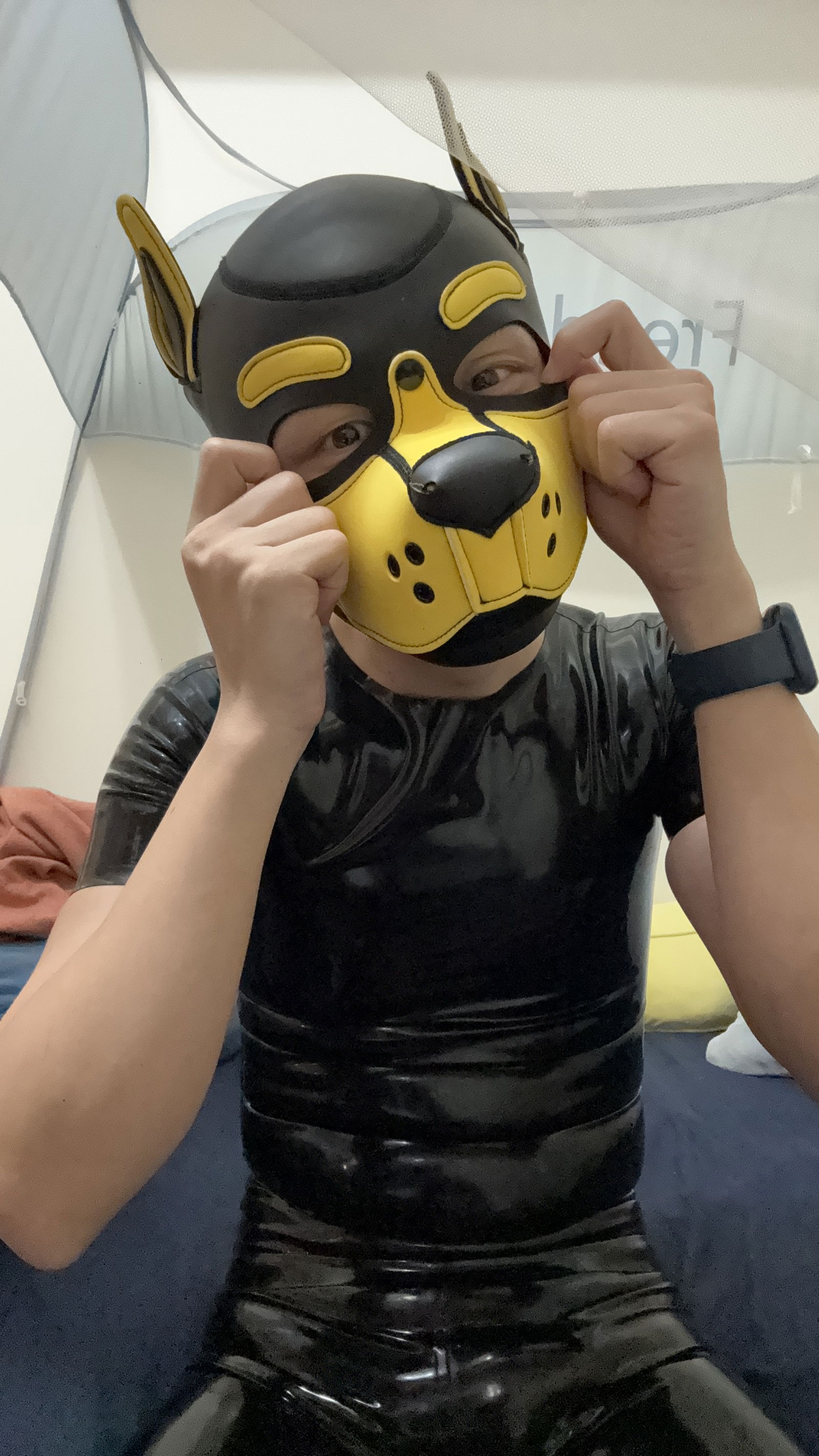 RubberX （還是廢墟）