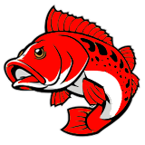 Tomantoto : claim scatter hitam dan bonus new member 100