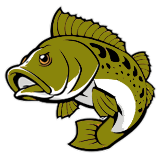 TOMANTOTO - Bandar Toto Online Gampang Menang