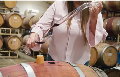 Discover The Best Wineries In Napa Valley: Dog-Friendly and Family-Centered Destinations