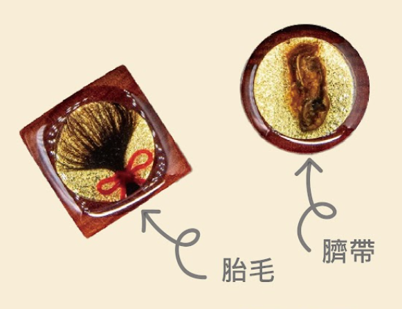 【臍帶章】線上目錄