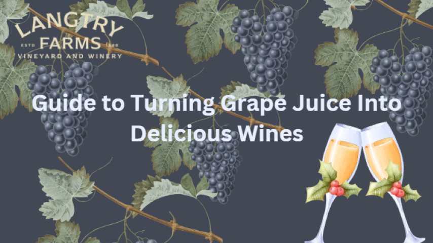Guide to Turning Grape Juice Into Delicious Wines