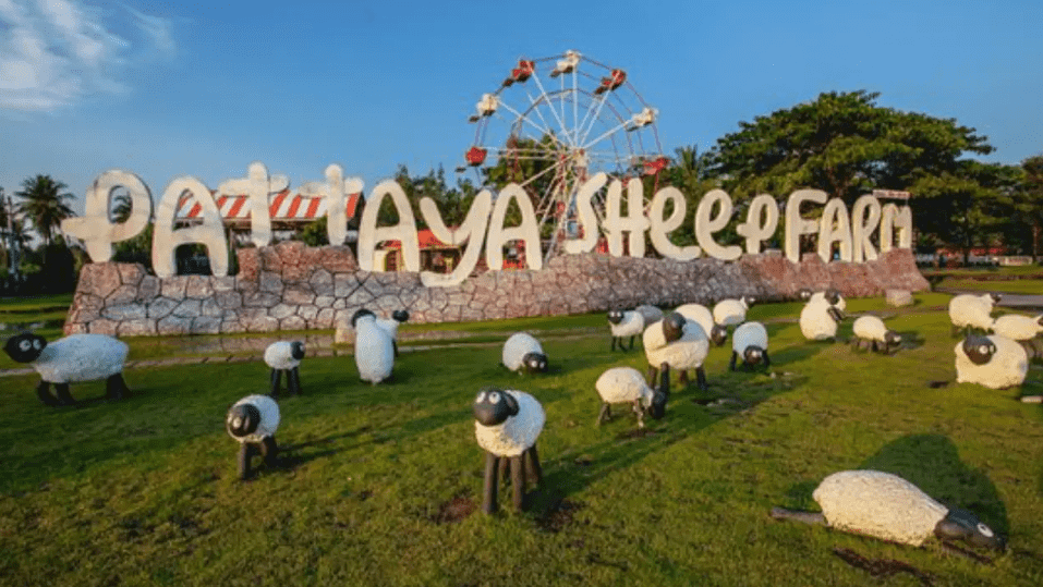 Pattaya Sheep Farm Ticket