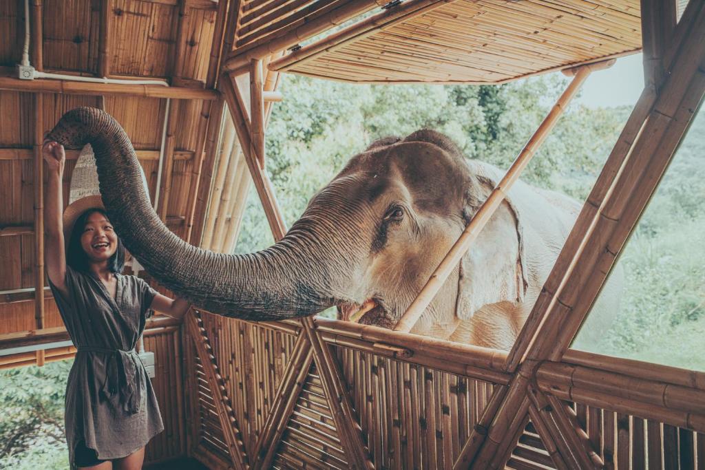 Chiang Mai Elephant Sanctuary
