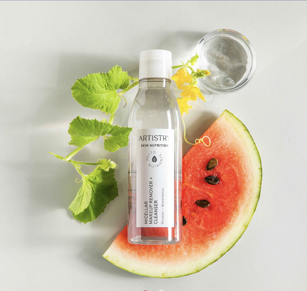 Artistry植萃能量系列-淨透深層卸妝水