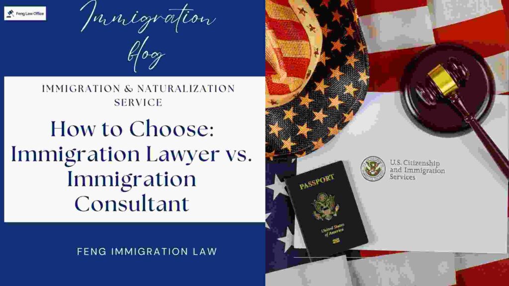 Immigration Lawyer vs. Immigration Consultant