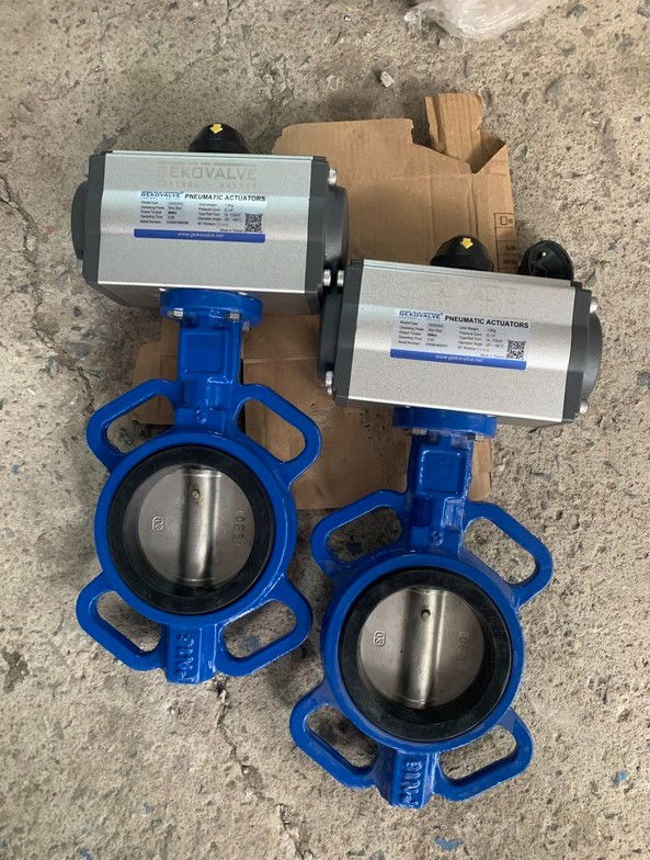 Van bướm gang|Cấu tạo, phân loại, ứng dụng|Hàng nhập khẩu