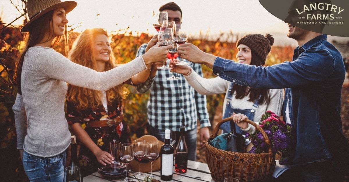 5 Reasons Napa Valley Wine Club is Perfect for Wine Enthusiasts