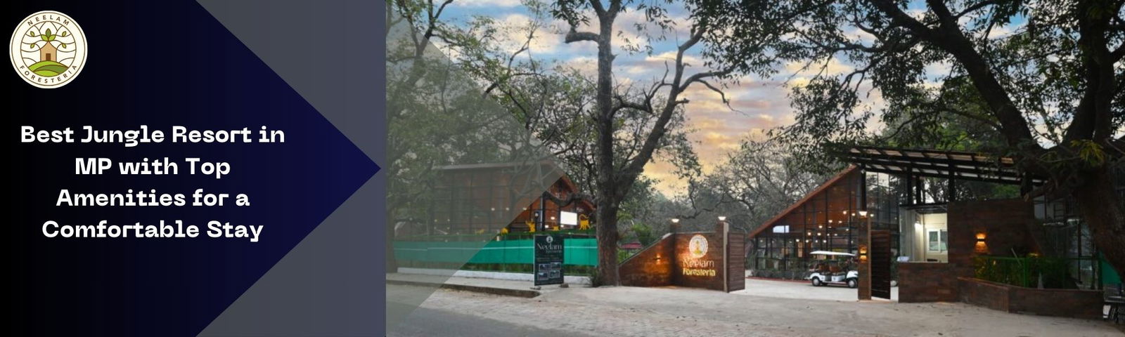 Best Jungle Resort in MP with Top Amenities for a Comfortable Stay