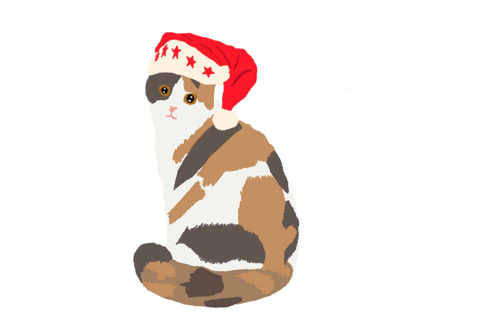 愛心嫁妝禮-與愛心一起陪伴pethalf