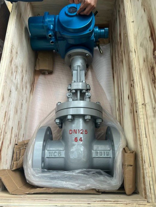 Van cổng động cơ điện - Van cổng điều khiển điện | Giá tốt