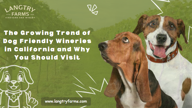 The Growing Trend of Dog Friendly Wineries in California