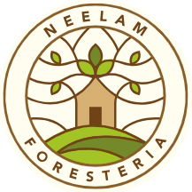 Unwind in Nature and Stay at the Best Jungle Resort in MP