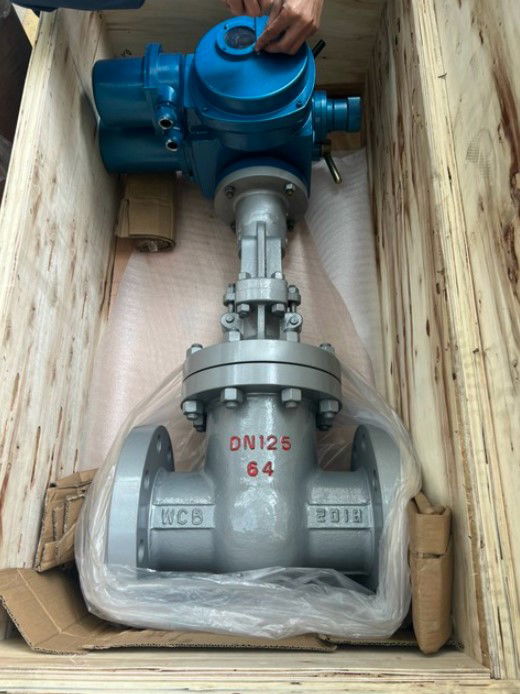 Van cổng điều khiển bằng điện - Van công nghiệp nhập khẩu