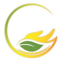 Individual DBT Therapy for Emotional and Mental Well-Being