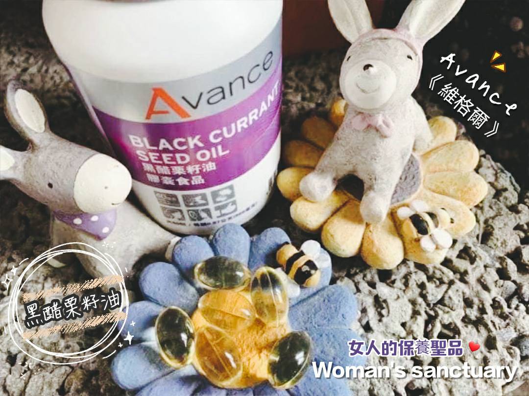 維格爾 黑醋栗籽油膠囊狀食品