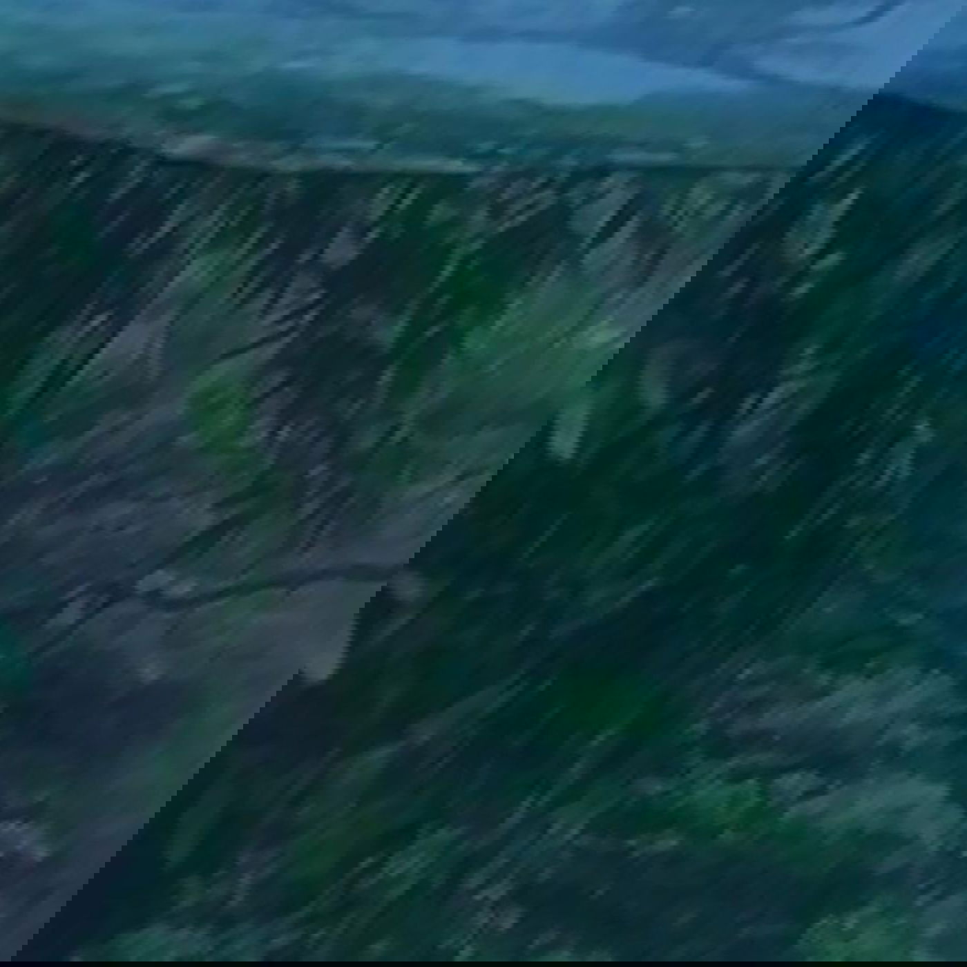 Born To Live, by AFP (Amt Für Populismus)