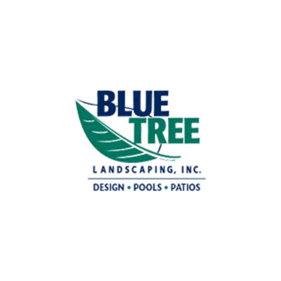 Plunge Pools | Blue Tree Landscaping