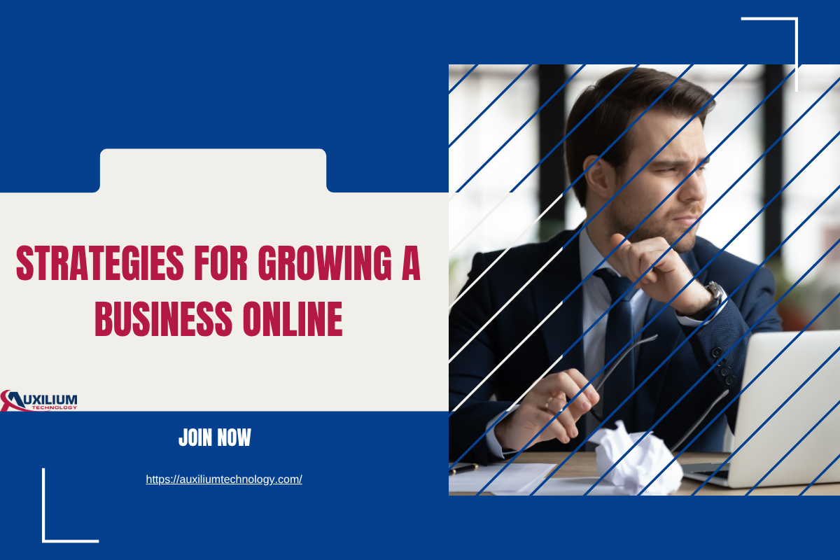 Strategies for Growing a Business Online
