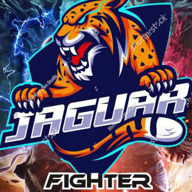 JAGUAR FIGHTER CHANNEL