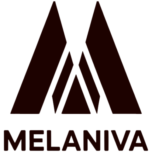 Melaniva Handbags | Celebrate Black Beauty & Strength