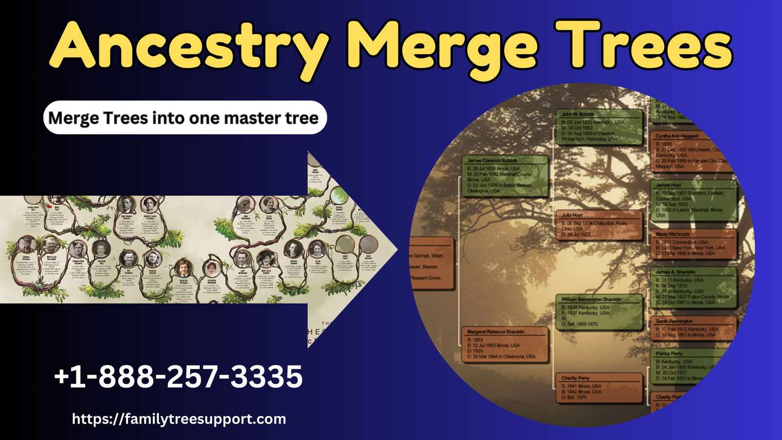 Ancestry Merge Trees
