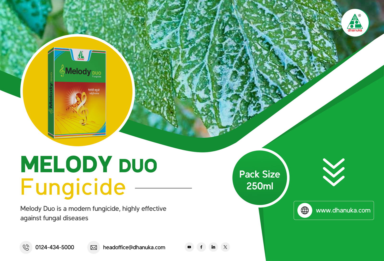 Melody Duo® Fungicide | Effective Blight & Mildew Control – Dhanuka