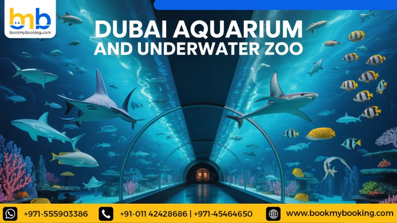 Dubai Aquarium And Underwater Zoo in Dubai - Book Tickets, Timings &amp; Prices
