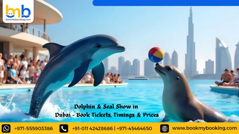 Dolphin &amp; Seal Show in Dubai - Book Tickets, Timings &amp; Prices