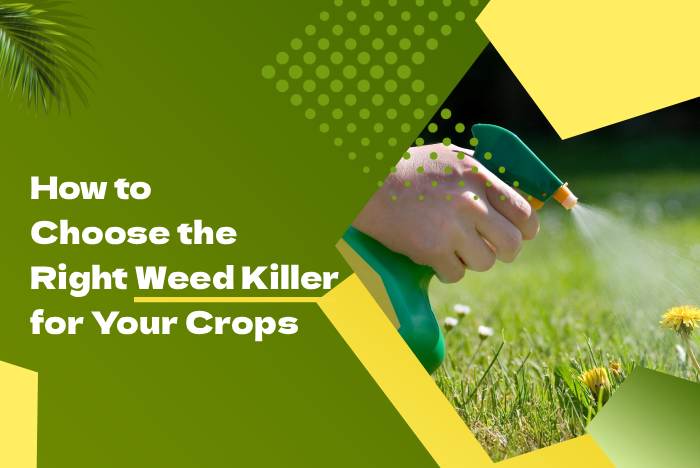 How to Choose the Right Weed Killer for Your Crops