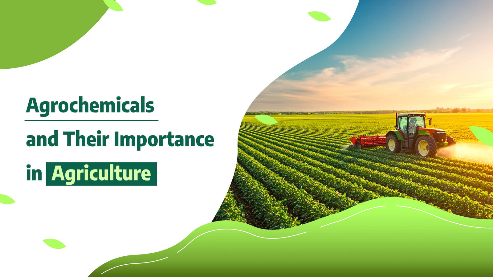 Agro chemicals and Their Importance in Agriculture