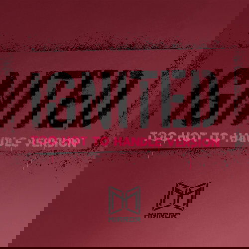 MIRROR：IGNITED (too hard to handle version)