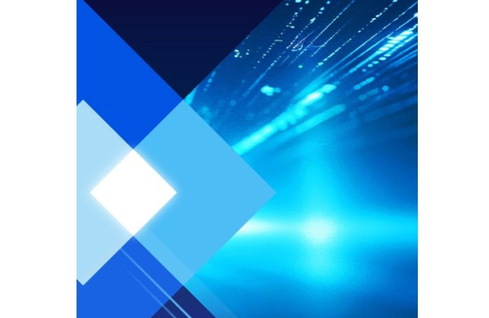 What role does the Element platform play in enabling WIBEY’s functionality...