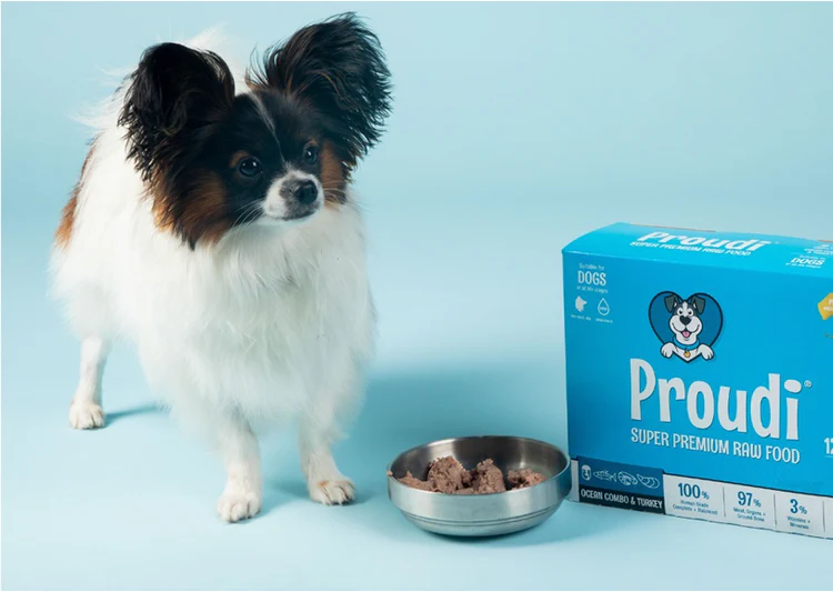 Raw Food Diet for Dogs: A Simple Beginner’s Guide