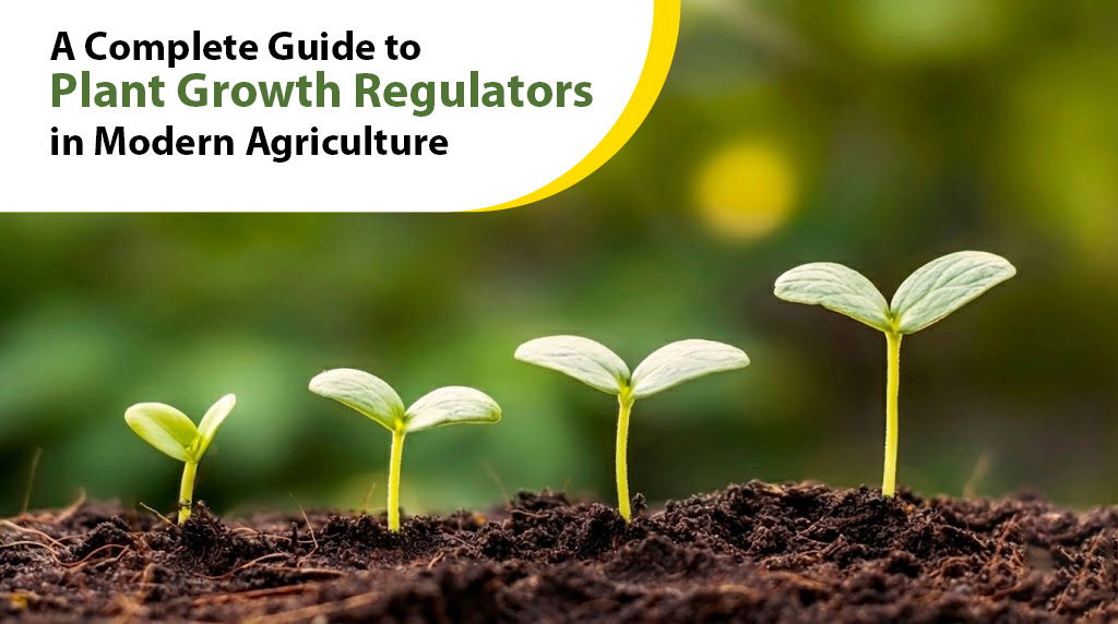 What Are Plant Growth Regulators? A Complete Guide
