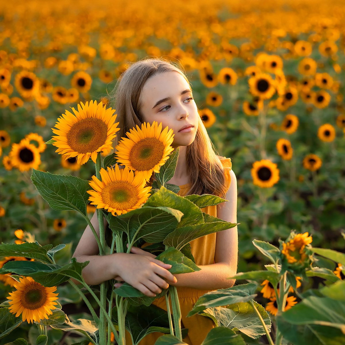 Photographer in Israel: Tel Aviv, Haifa, Jerusalem, Rishon LeZion, Netanya