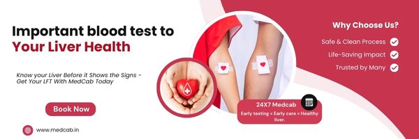 Guide to Blood Tests for Assessing Liver Health