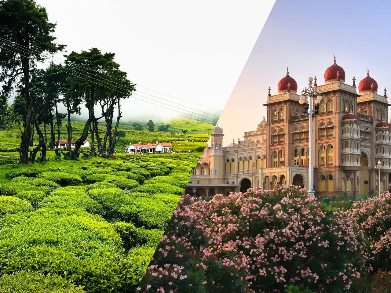 Ooty to Mysore Distance & Cab Service Guide