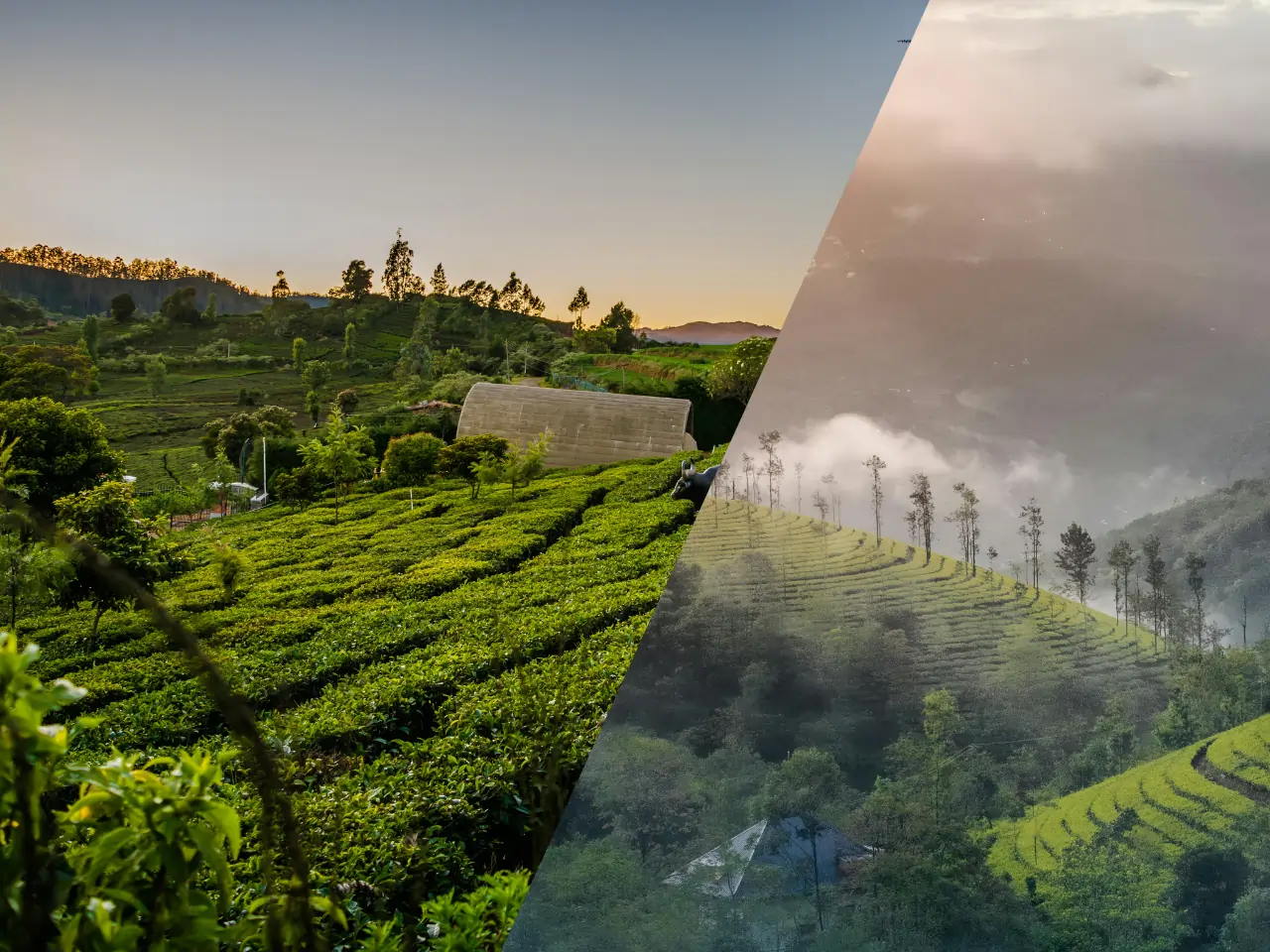 Taxi from Ooty to Munnar – Distance & Fare Info