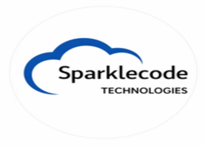 Digital Solutions & IT Services | Sparklecode Technologies		