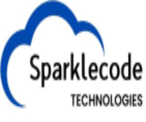 IT Services & IT Consulting Company | Sparklecode Technologies