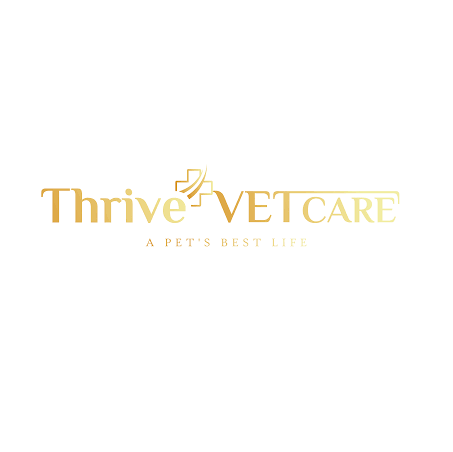 Senior Pet Care in Airdrie - Thrive Vet Care