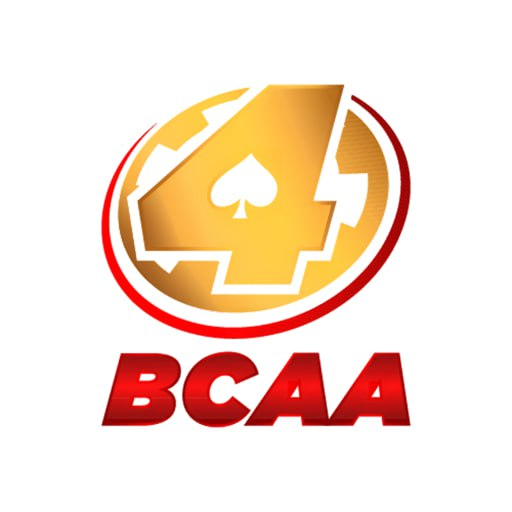 BCAA4 | Welcome Bonus 100% | Daily Unlimited 20% | Referal Bonus 