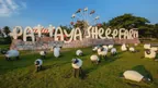 Pattaya Sheep Farm Ticket