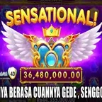 Game Win Replay JP PAUS MEMBER VIRGO4D